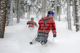 Telluride Ski Strike