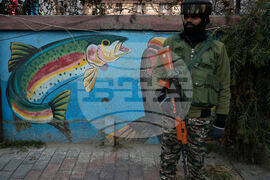 India Kashmir Christmas