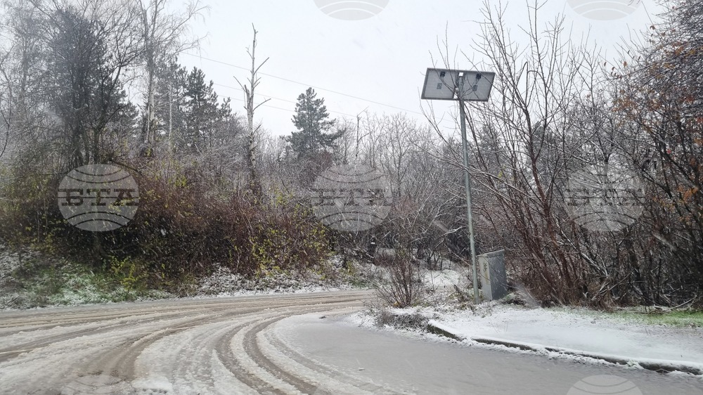 Търговище - снеговалеж - обстановка