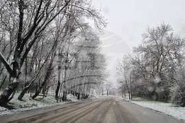 Търговище - снеговалеж - обстановка