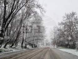 Търговище - снеговалеж - обстановка