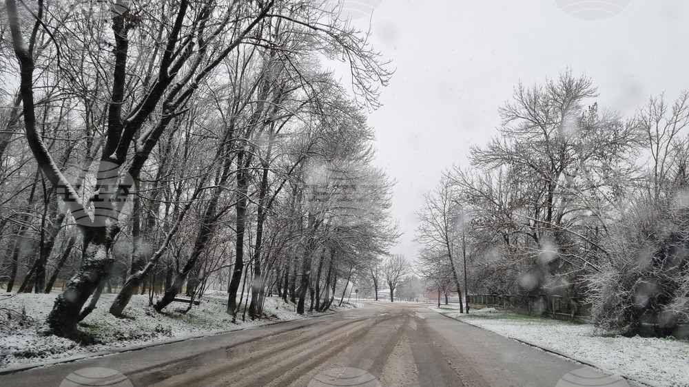 Търговище - снеговалеж - обстановка