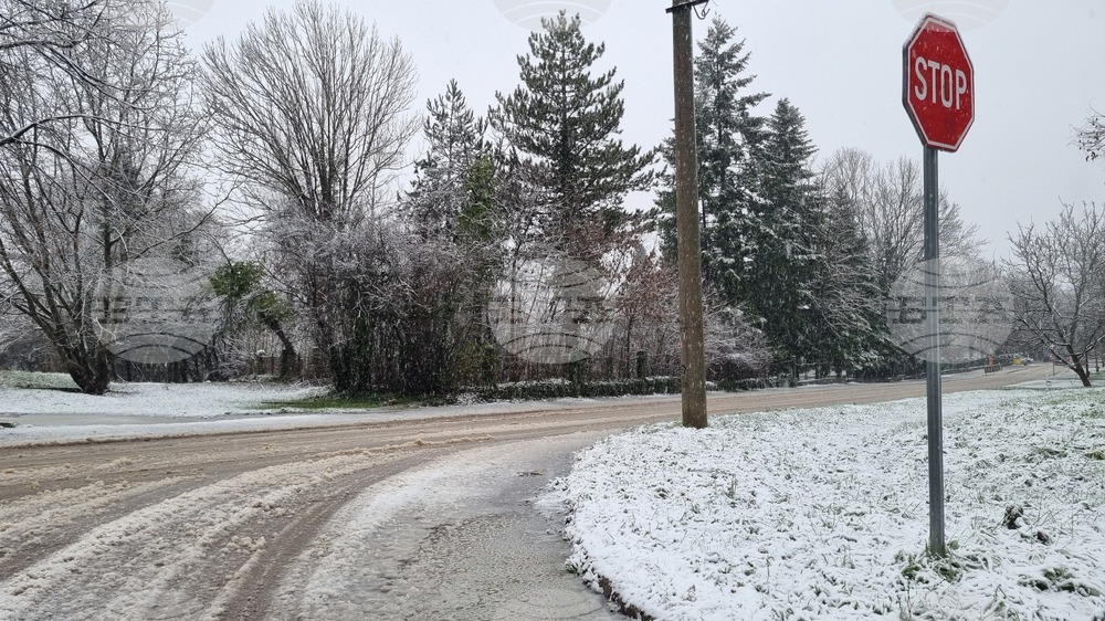 Търговище - снеговалеж - обстановка