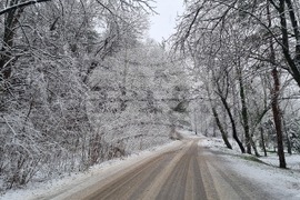 Търговище - снеговалеж - обстановка