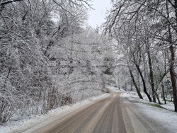 Търговище - снеговалеж - обстановка