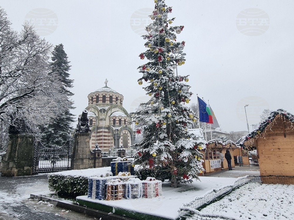 Плевен - зимна обстановка