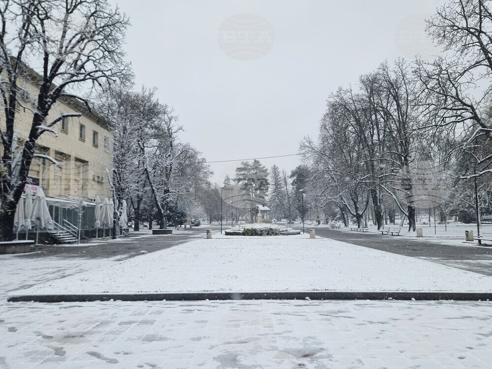 Плевен - зимна обстановка