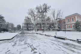 Плевен - зимна обстановка