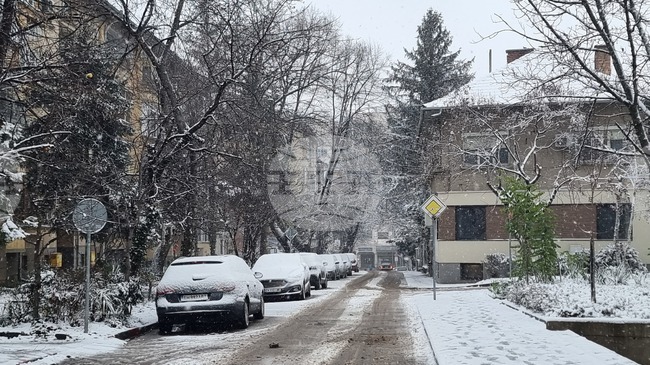 Улиците в Плевен и общинската пътна мрежа са проходими при зимни условия, съобщиха от Общината