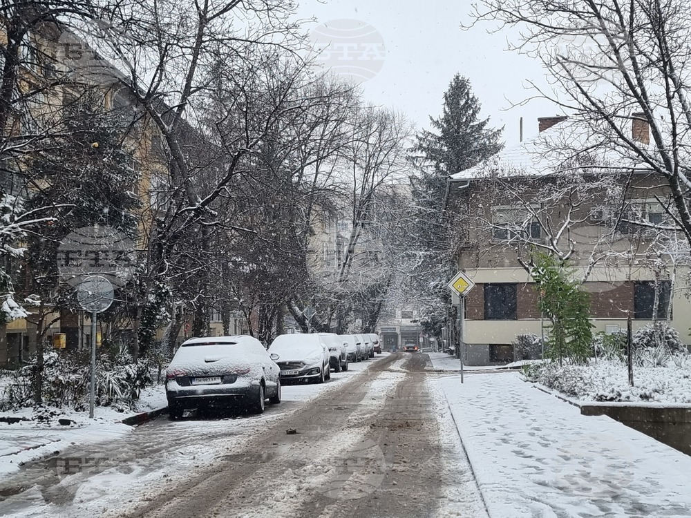 Улиците в Плевен и общинската пътна мрежа са проходими при зимни условия, съобщиха от Общината