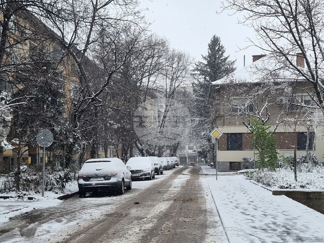 Улиците в Плевен и общинската пътна мрежа са проходими при зимни условия, съобщиха от Общината