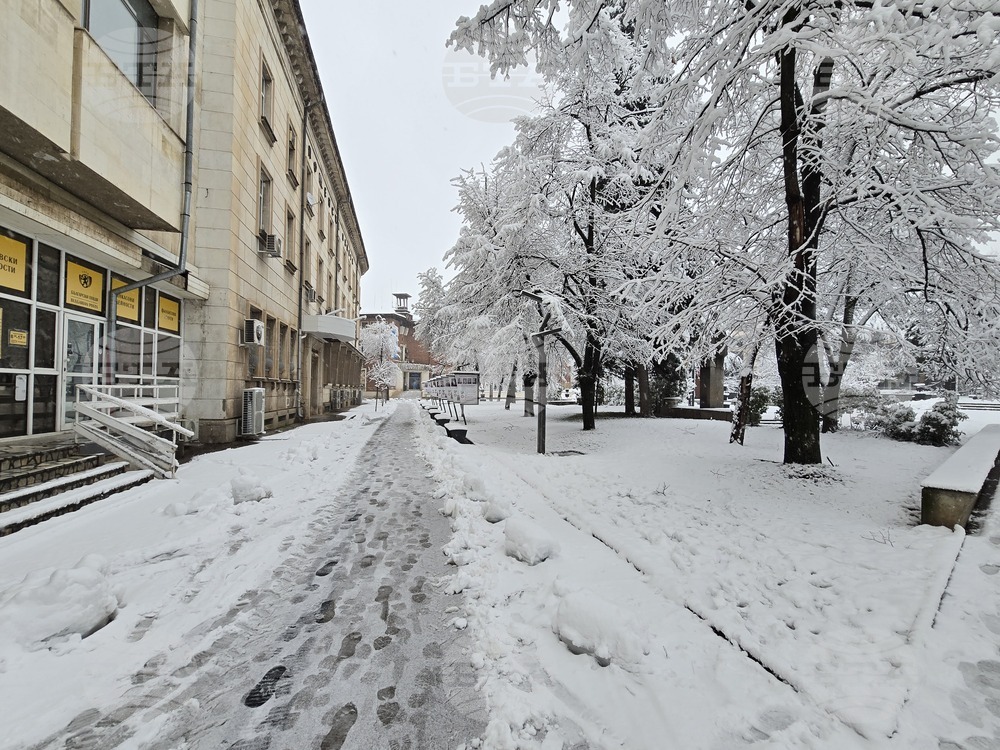 Враца - Коледа - сняг