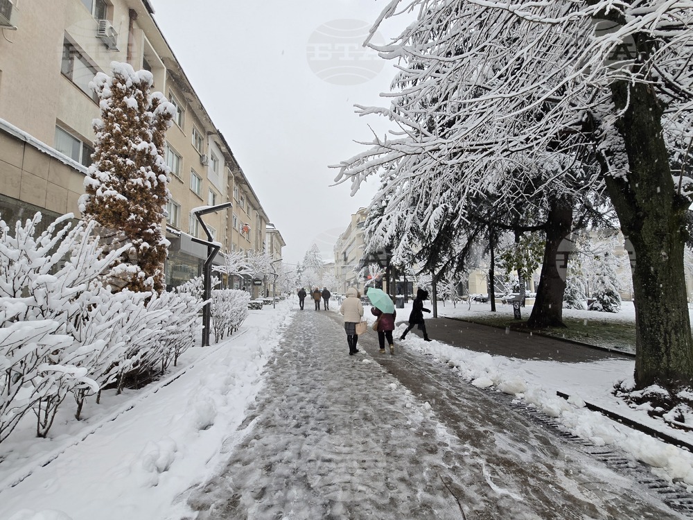 Враца - Коледа - сняг