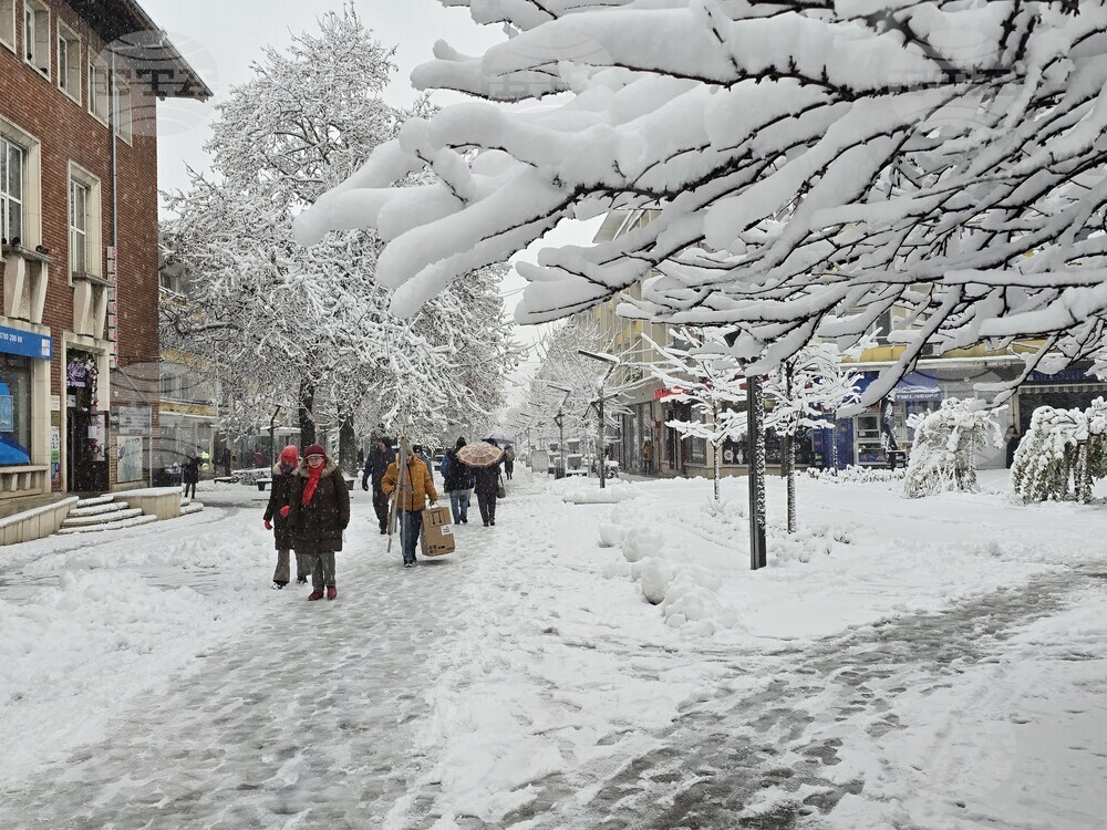 Малко над 15 000 лица и семейства от област Враца са получили целева помощ за отопление през тази година