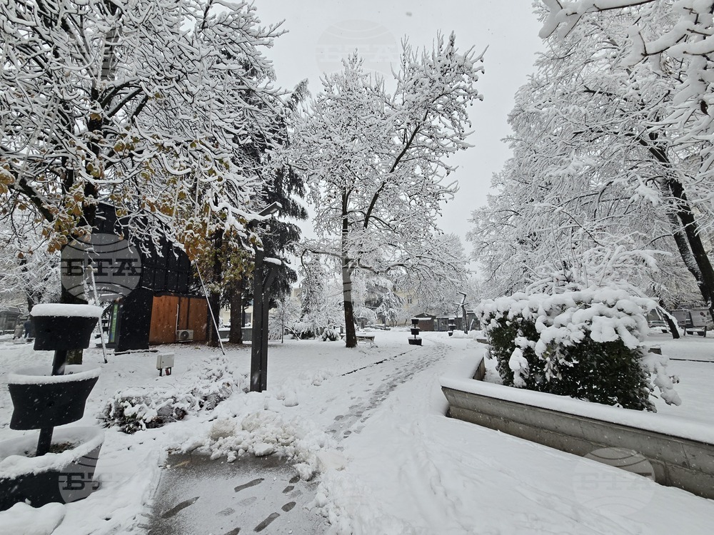 Враца - Коледа - сняг