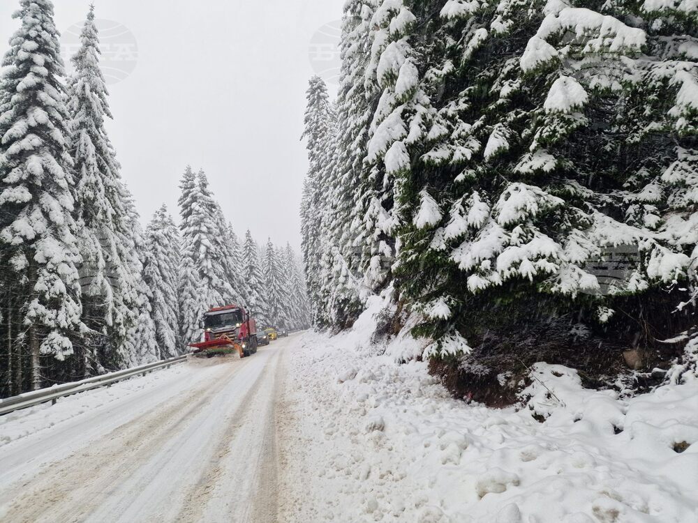 В Пампорово натрупа около 15 см сняг, пътищата в област Смолян са проходими при зимни условия