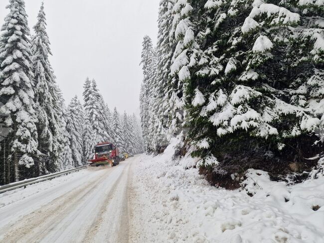 В Пампорово натрупа около 15 см сняг, пътищата в област Смолян са проходими при зимни условия
