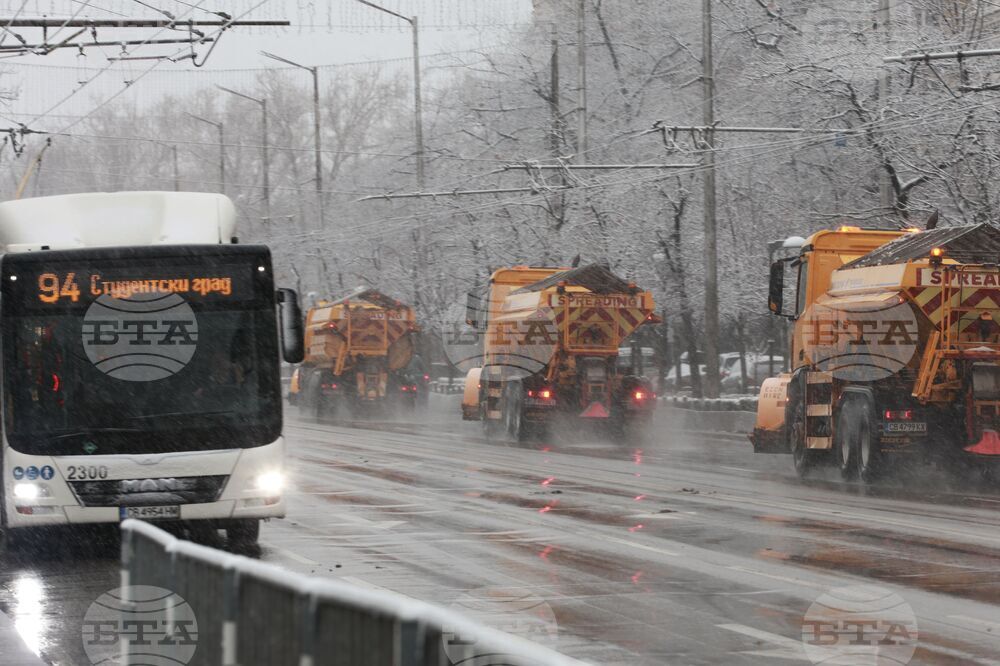 Столица - сняг - снегорини