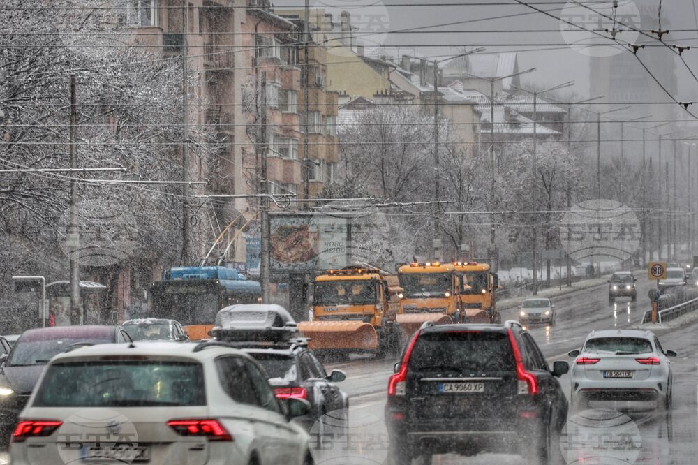 Столица - сняг - снегорини