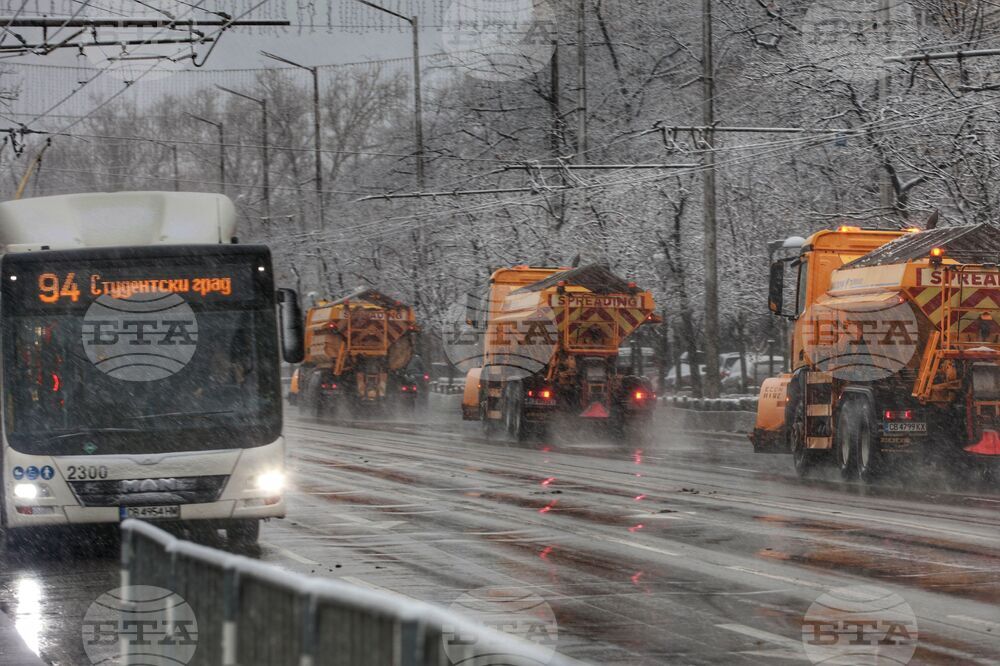 Столица - сняг - снегорини