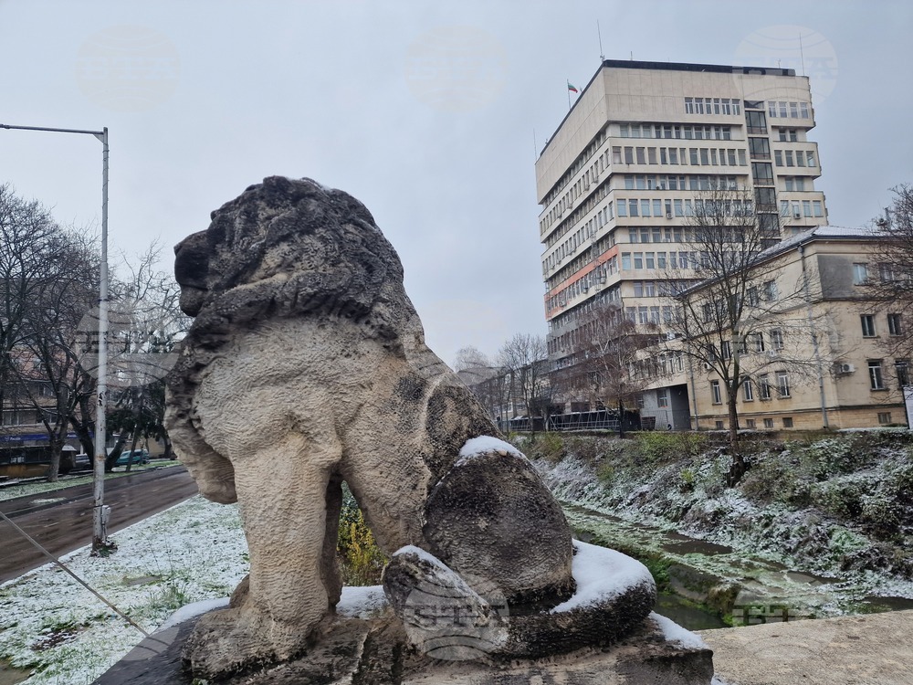 Разград - зима - обстановка