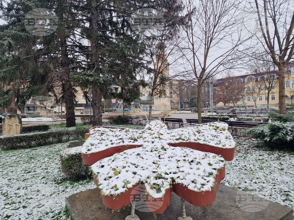 Разград - зима - обстановка