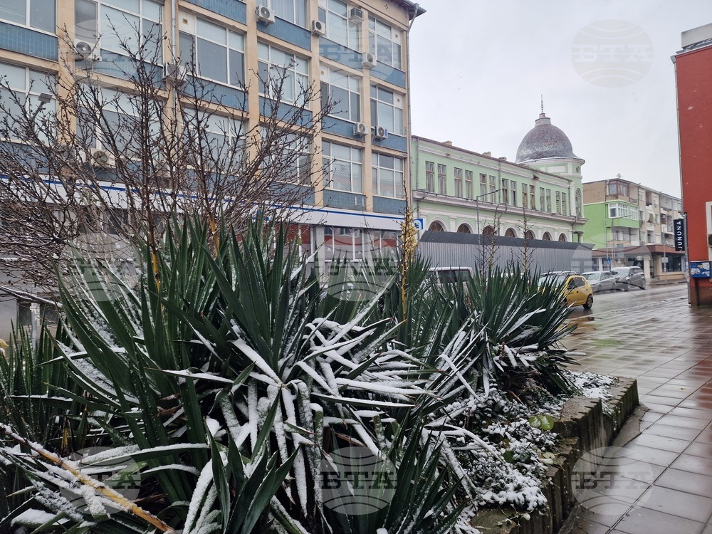 Разград - зима - обстановка