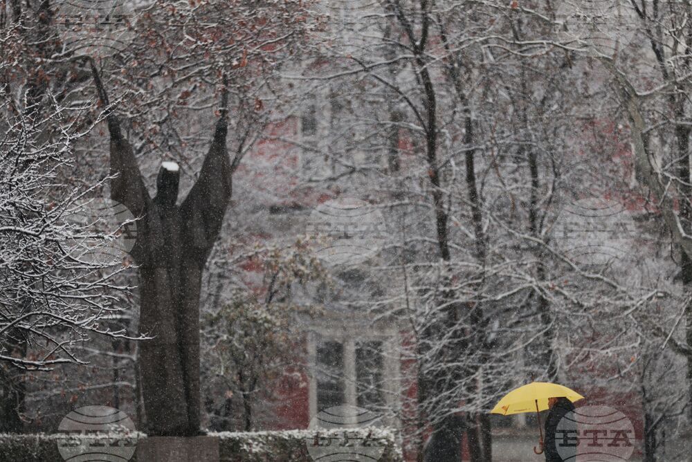 Столица - сняг