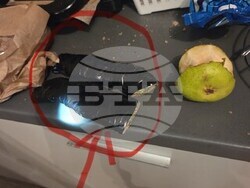 Снимка: МВР