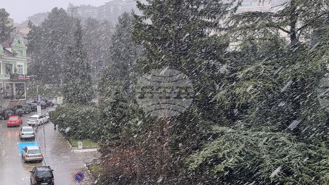 Пътищата във Великотърновска област се обработват срещу заснежаване и обледяване и са проходими