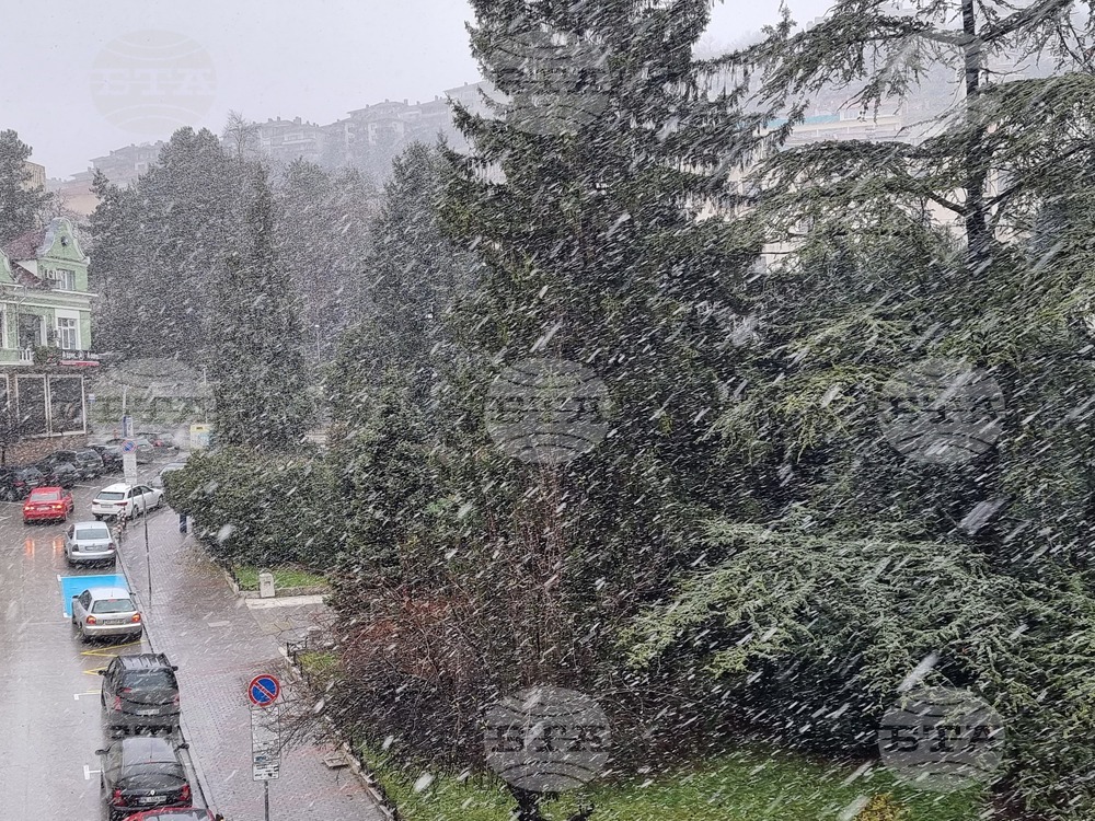 Пътищата във Великотърновска област се обработват срещу заснежаване и обледяване и са проходими