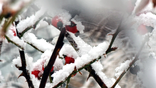 Прогноза за времето