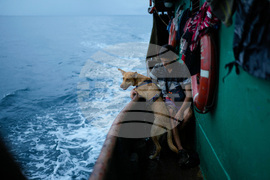 Venezuela Reverse Migration Christmas