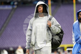 Lions Vikings Football