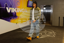 Lions Vikings Football