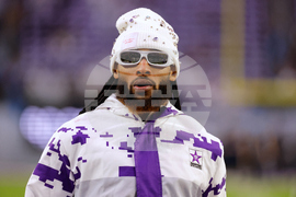 Lions Vikings Football