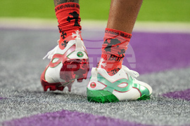 Lions Vikings Football