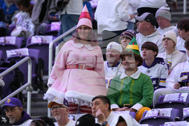 Lions Vikings Football