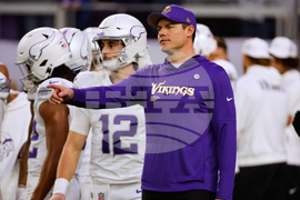 Lions Vikings Football