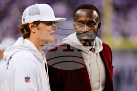 Lions Vikings Football