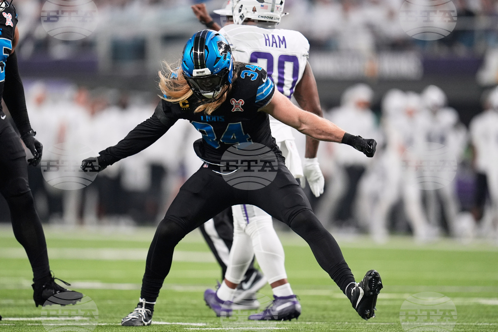 Lions Vikings Football