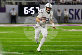 Lions Vikings Football