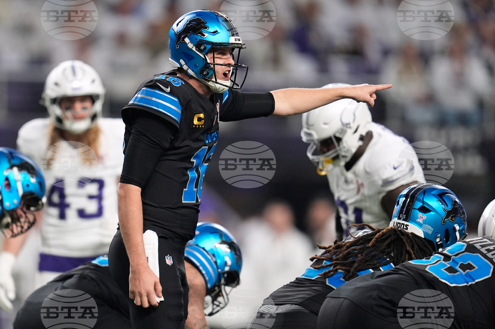 Lions Vikings Football