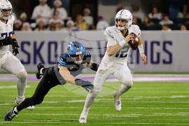 Lions Vikings Football