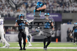 Lions Vikings Football