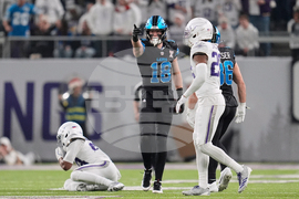 Lions Vikings Football