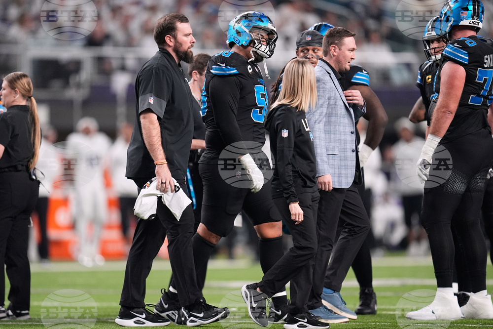 Lions Vikings Football