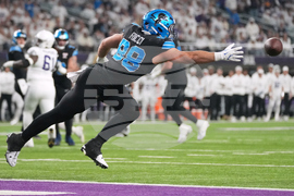 Lions Vikings Football