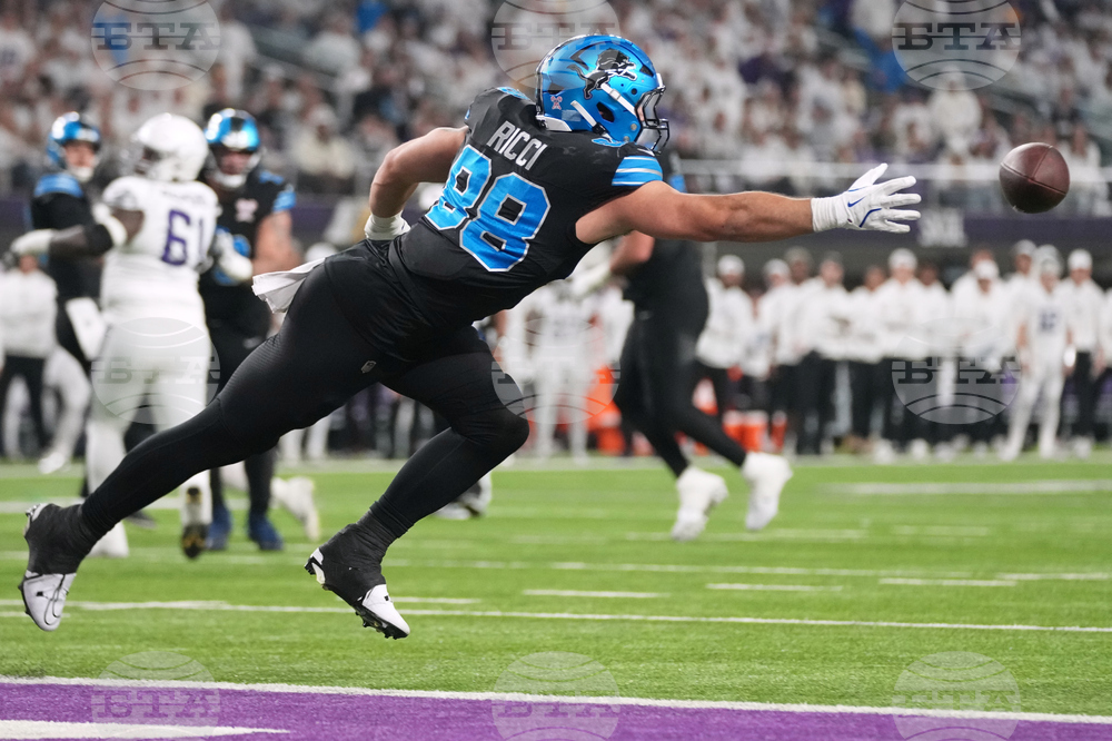 Lions Vikings Football