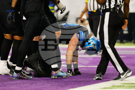 Lions Vikings Football